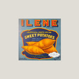 Rare 1940s Louisiana Antique Vintage Crate Label Collector's Gem