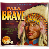 Rare 1940s Pala Brave Sunkist Label Bursts with Vintage Charm