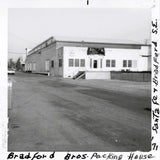 Rare 1940s Pala Brave Sunkist Label Bursts with Vintage Charm