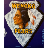 Rare 1940s Wenoka Pear Label Showcases Native American Design