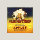 Rare 1940s Yakima Chief Native American Crate Label Art