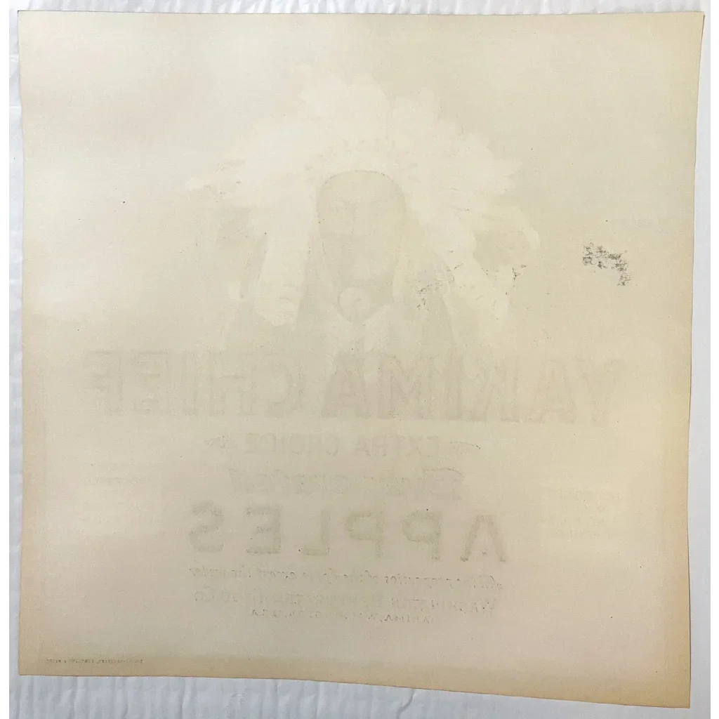 Rare 1940s Yakima Chief Native American Crate Label Art