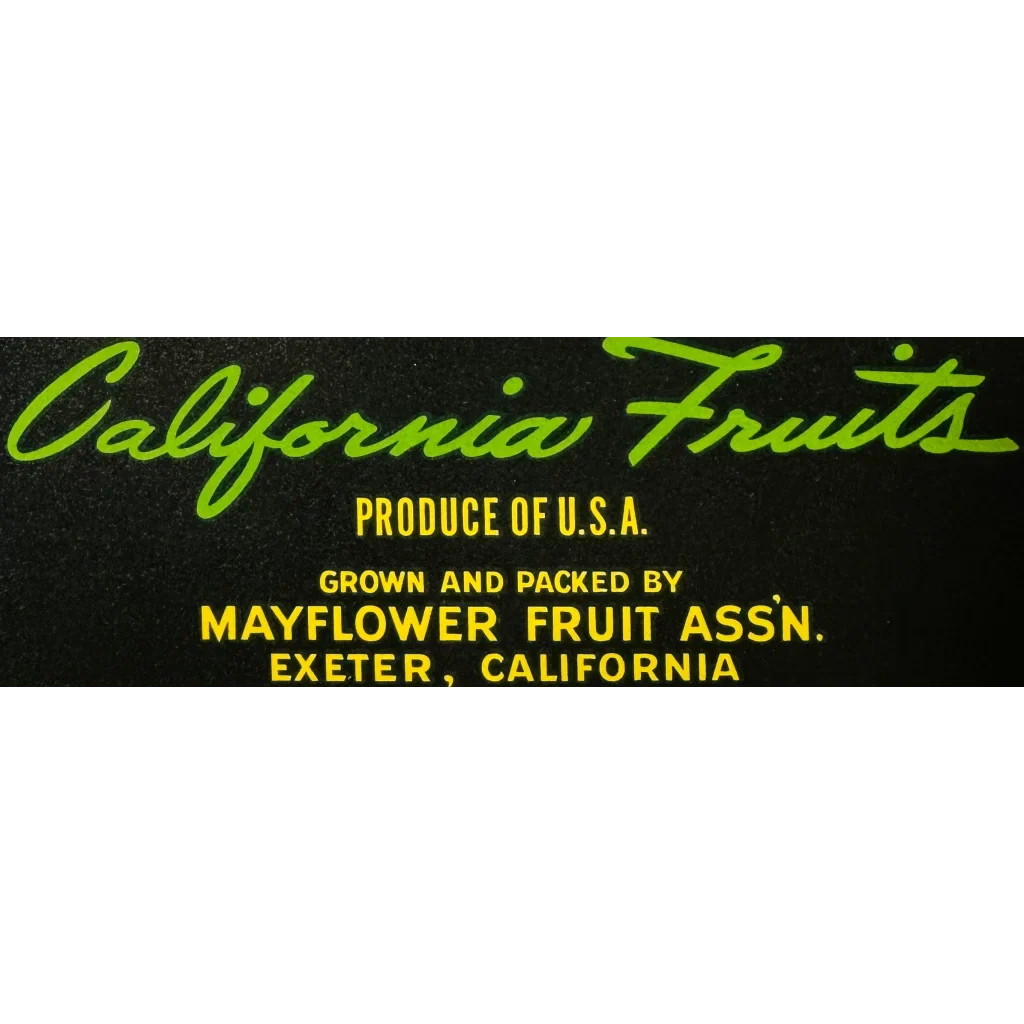 Rare 1950s Mayflower Fruit Association Crate Label Vintage Treasure