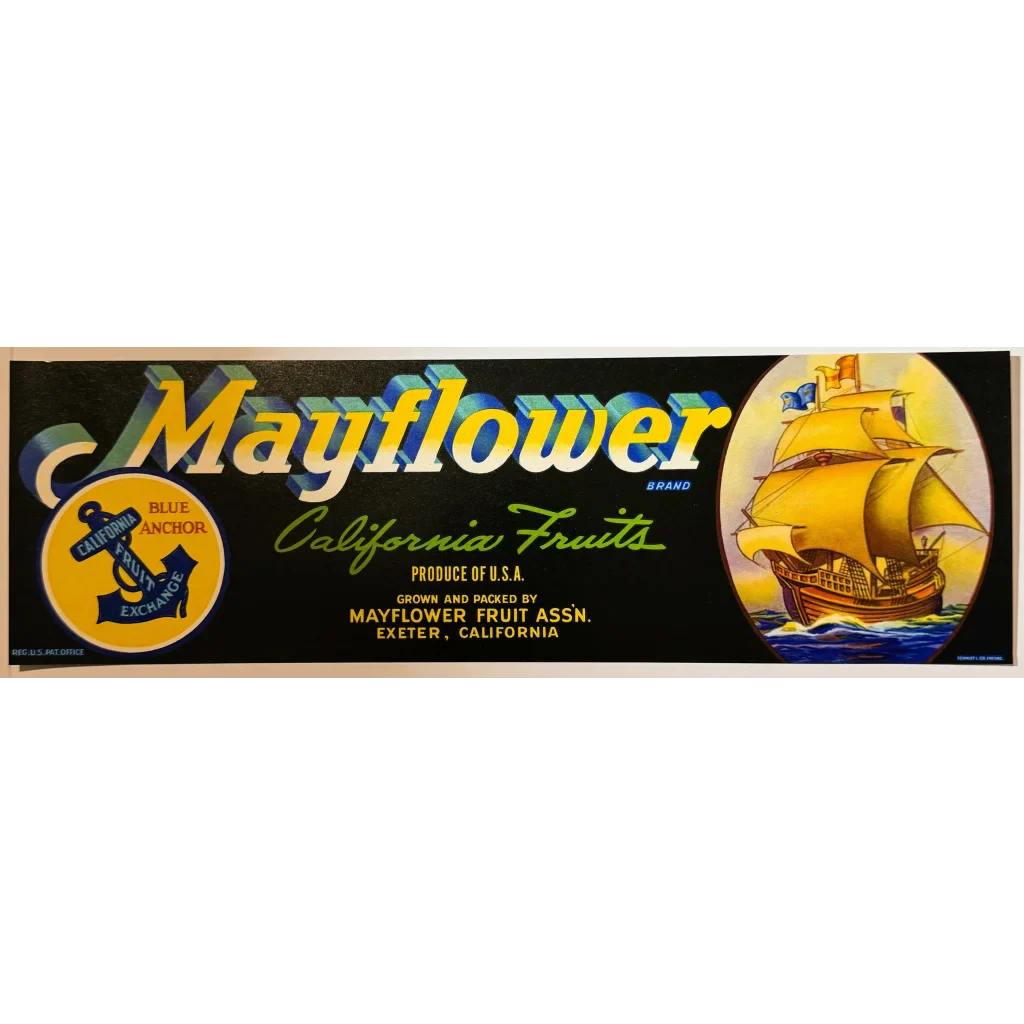 Rare 1950s Mayflower Fruit Association Crate Label Vintage Treasure