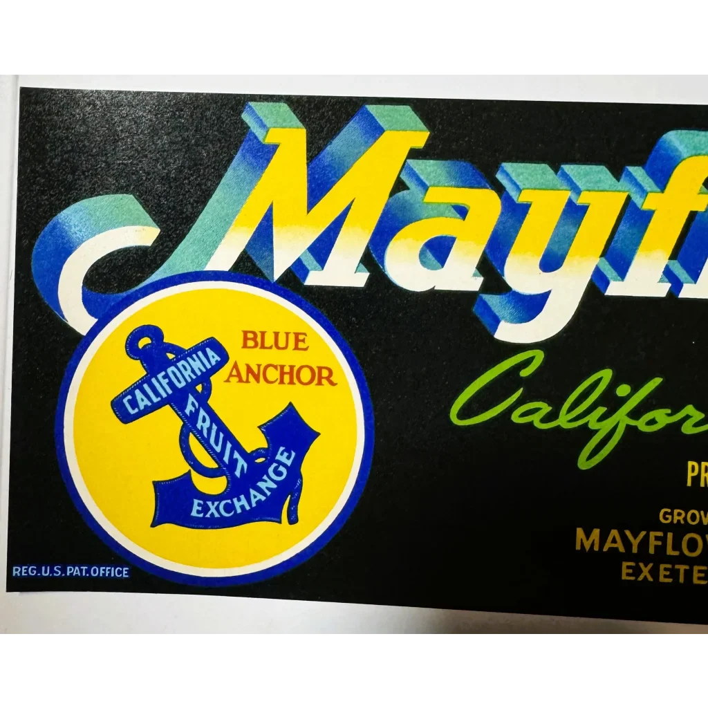 Rare 1950s Mayflower Fruit Association Crate Label Vintage Treasure