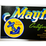 Rare 1950s Mayflower Fruit Association Crate Label Vintage Treasure