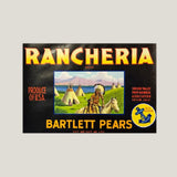 Rare 1950s Rancheria Pear Label with Native American Scene