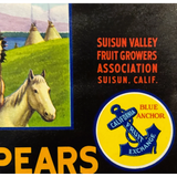 Rare 1950s Rancheria Pear Label with Native American Scene