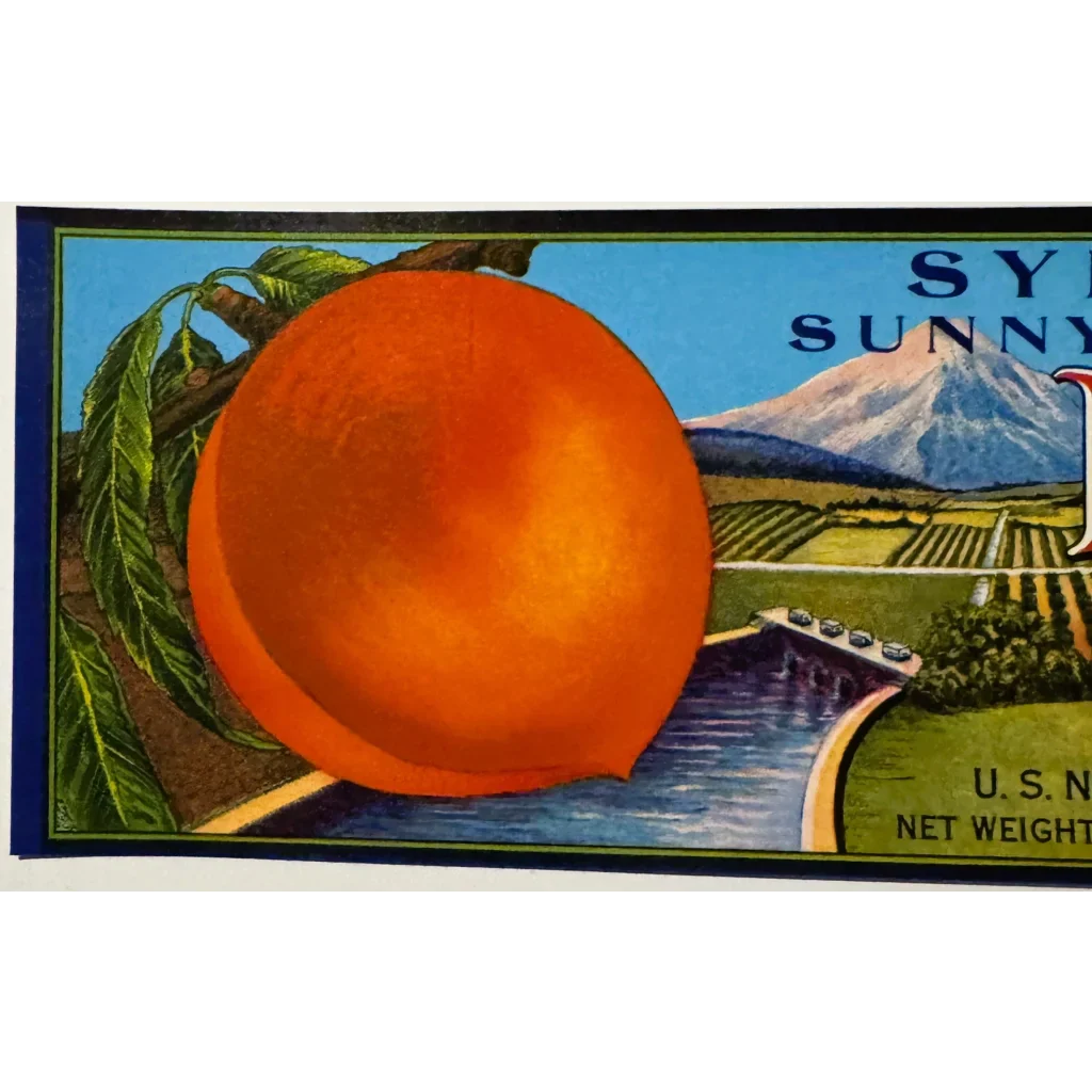 Rare 1950s Symms Fruit Ranch Sunny Slope Peaches Crate Label