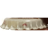 Rare 1960s Frostie Root Beer Bottle Cap Collectible