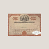 Rare 1960s Pan American Sulphur Stock Certificate From Delaware