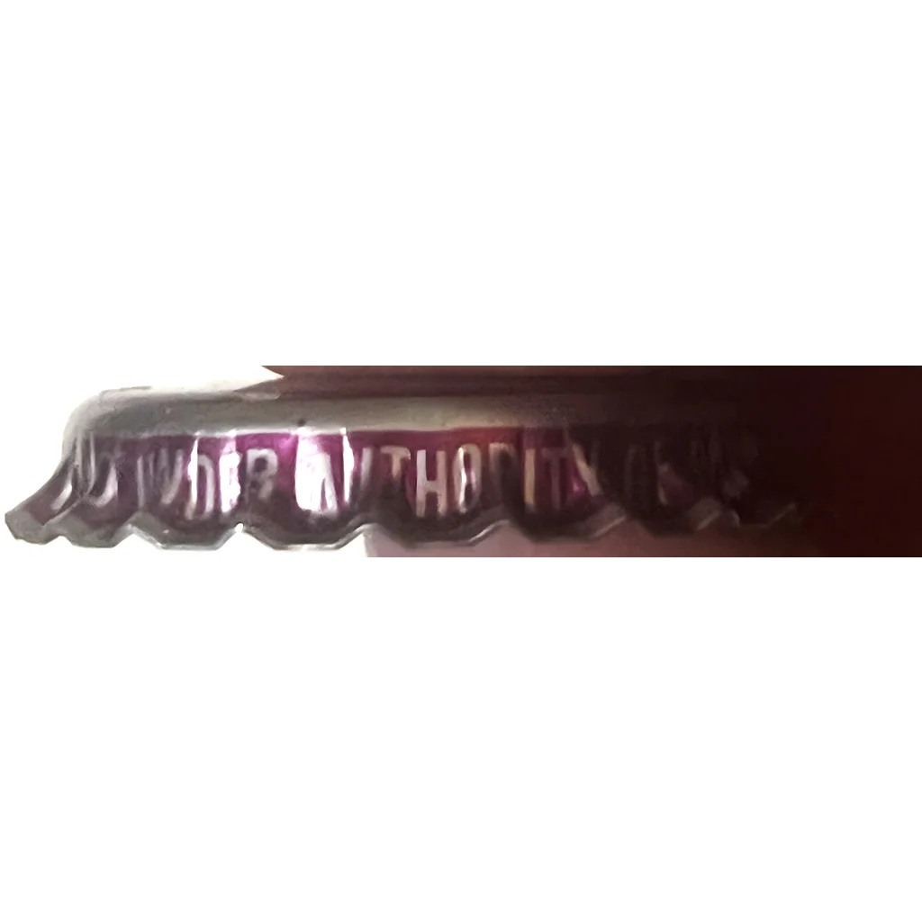 Rare 1970s Sun-Rise Grape Soda Cap From Coca Cola Minnesota