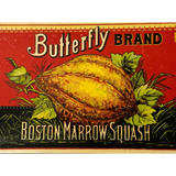 Rare Antique 1890s Butterfly Boston Marrow Squash Label Unearthed