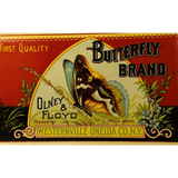 Rare Antique 1890s Butterfly Boston Marrow Squash Label Unearthed