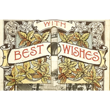 Rare Dominion Park Fan Postcard Unveils Early 1900s Charm