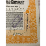 Rare Antique Piggly Wiggly Stock Certificate From 1916 Memphis