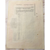 Rare Antique Piggly Wiggly Stock Certificate From 1916 Memphis