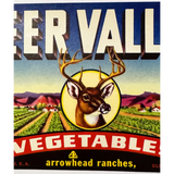 Rare Deer Valley Citrus Farm Label from Arrowhead Ranch Arizona