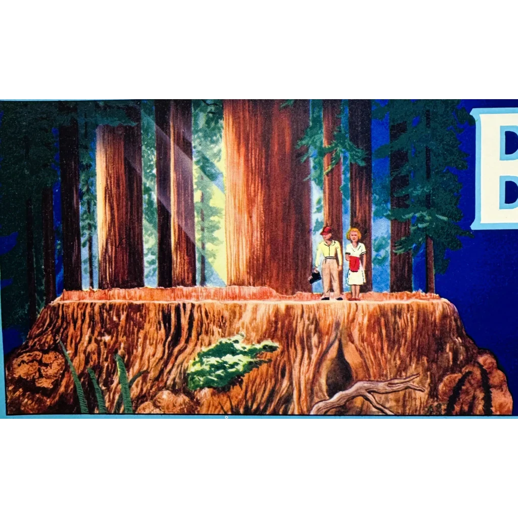 Rare Sequoia Foothill Fruit Growers 70s Grape Crate Label