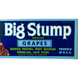 Rare Sequoia Foothill Fruit Growers 70s Grape Crate Label