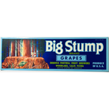 Rare Sequoia Foothill Fruit Growers 70s Grape Crate Label