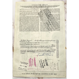 Rare Studebaker-Packard Stock Certificate Blue Beauty from 1950s