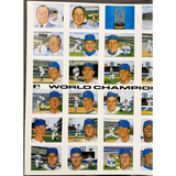 Rare Susan Rini Miracle Mets Cardstock Poster 1969 Champions