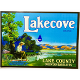 Rare Vintage 1950s Lakecove Bartlett Pears Crate Label