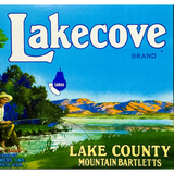 Rare Vintage 1950s Lakecove Bartlett Pears Crate Label