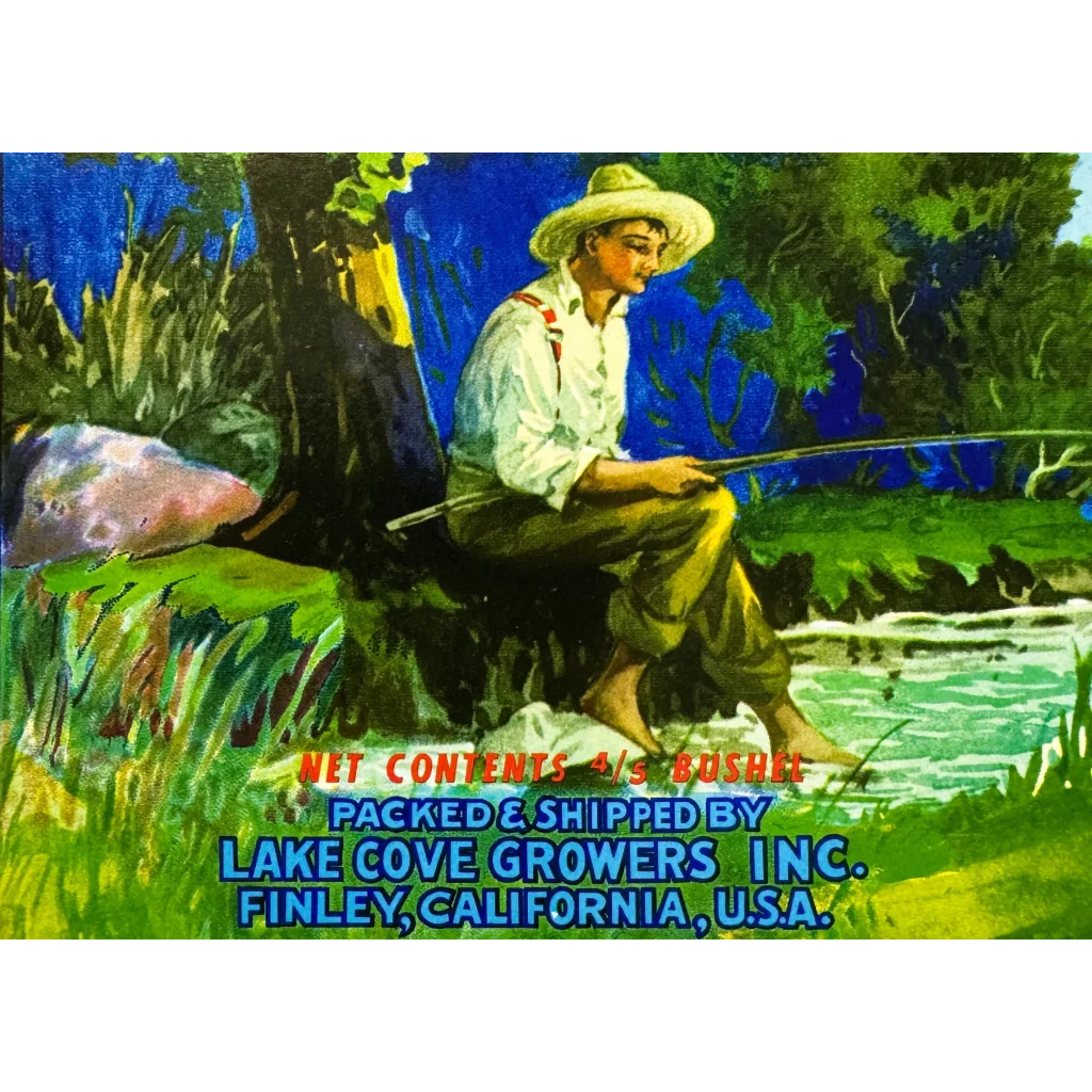 Rare Vintage 1950s Lakecove Bartlett Pears Crate Label