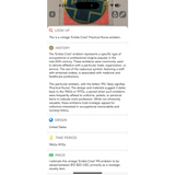 Rare Vintage 1960s Practical Nurse Emblem Embla Crest Collectible