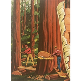 Rare 1960s Van Camps Beans Label Vintage Collectible