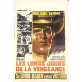 Rare 1967 Les Longs Jours De La Vengeance Belgium Movie Poster