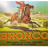 Ride Back to the 40s with This Vintage Bronco Crate Label