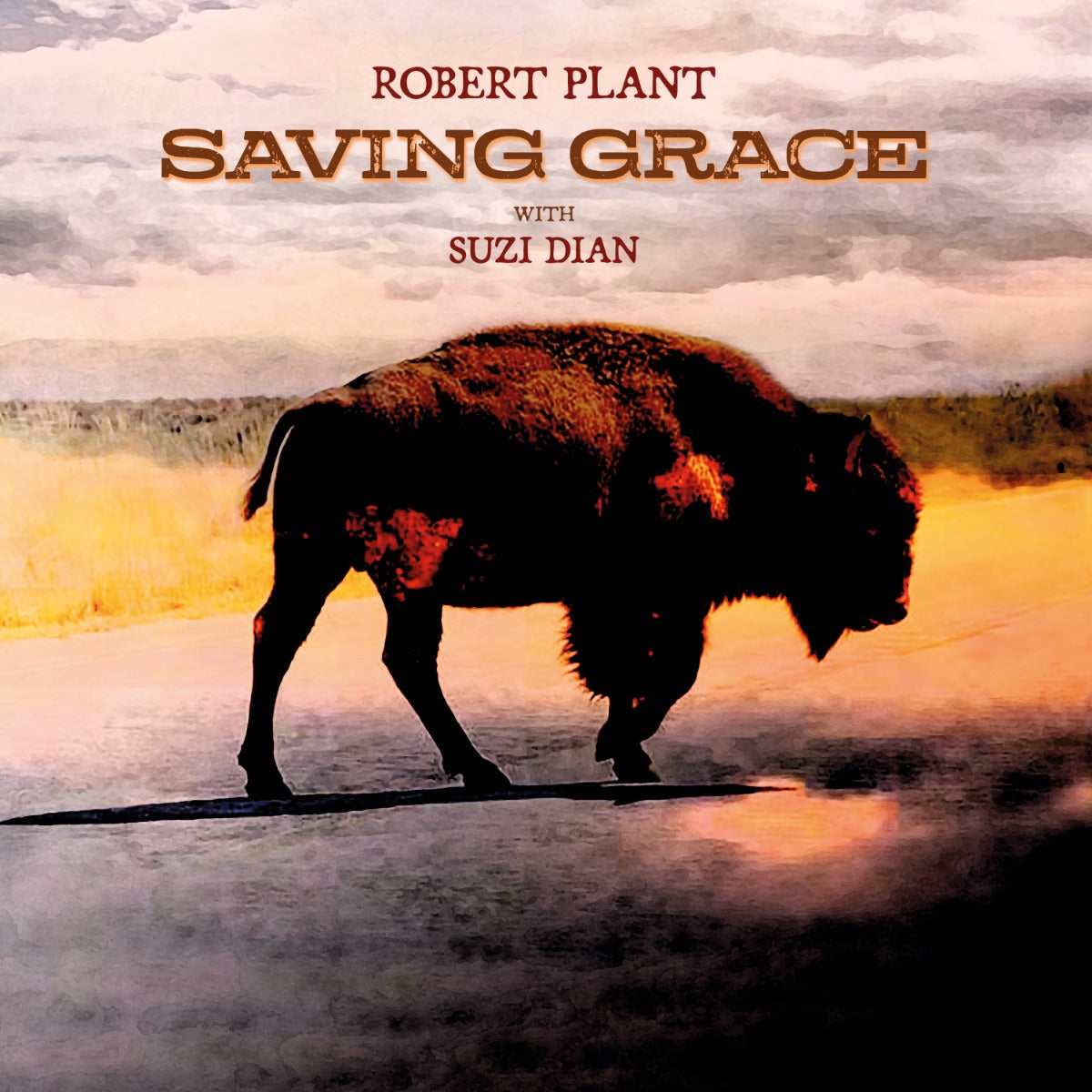 (PRE-ORDER 09/26/25) Saving Grace (VINYL) | Mint (M) Mint (M)