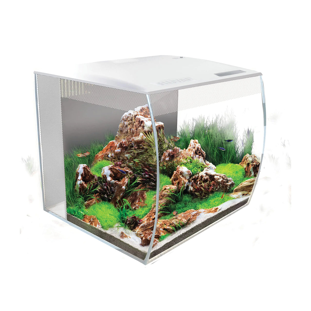 Fluval Flex 15 Aquarium Kit - Fish Tank for Fish & Plants - Comes with LED Lights Filtration System & More - 16" x 15" x 15" - 57 L 15 Gal. - White - Lootquake