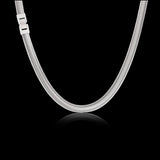 Simple Stainless Steel Flat Snake Chain