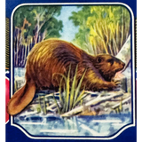 Snag This Groovy 70s Beaver Cherries Crate Label