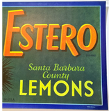 Snag a Sunny Slice of the 50s Vintage Estero Lemons Crate Label