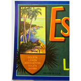 Snag a Sunny Slice of the 50s Vintage Estero Lemons Crate Label