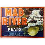 Stunning 1950s Mad River Pears Label Brings Waterfall Magic