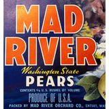 Stunning 1950s Mad River Pears Label Brings Waterfall Magic