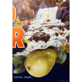 Stunning 1950s Mad River Pears Label Brings Waterfall Magic