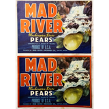 Stunning 1950s Mad River Pears Label Brings Waterfall Magic