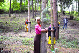 You Plant We Plant Tree Cup Fully Branded-3