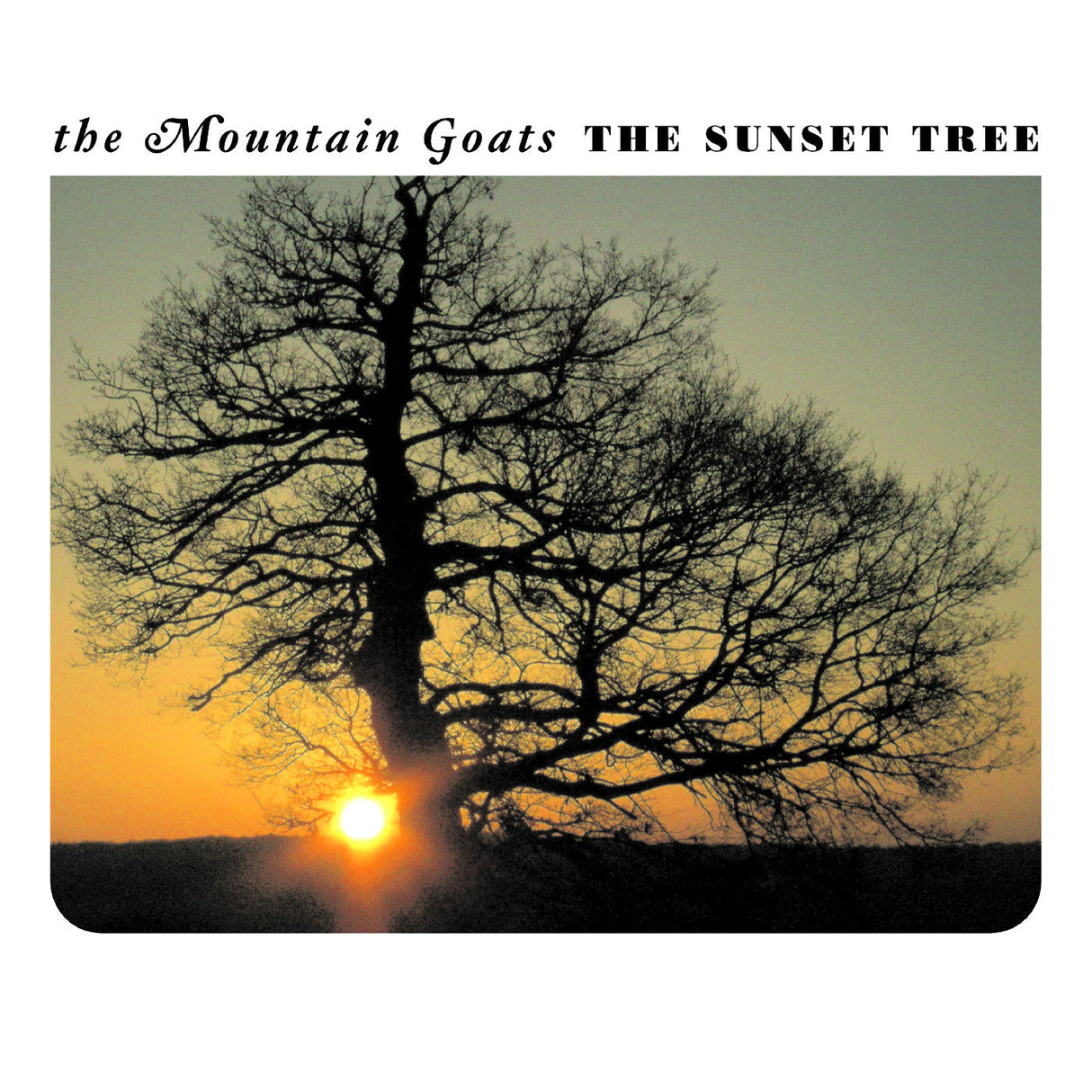 (PRE-ORDER 10/17/25) The Sunset Tree 20Th Anniversary Remaster (Apricot Vinyl) | Mint (M) Mint (M)