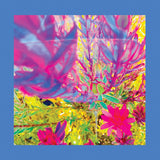 (PRE-ORDER 10/24/25) The Past Is A Garden I Never Fed (Neon Pink Vinyl) | Mint (M) Mint (M)