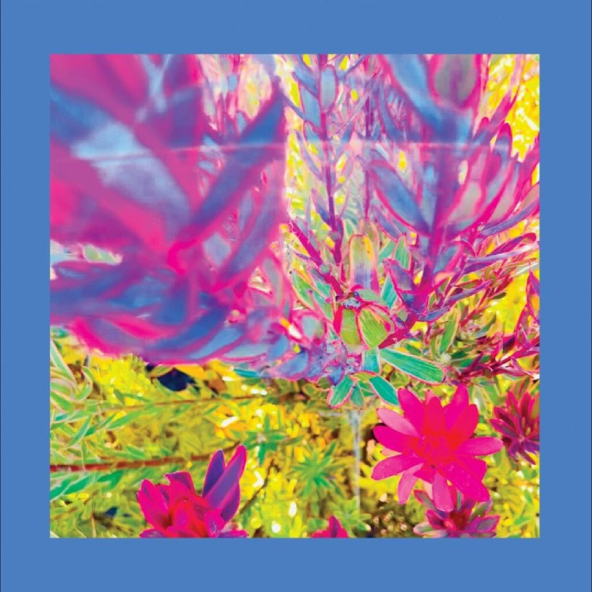 (PRE-ORDER 10/24/25) The Past Is A Garden I Never Fed (Sky Blue Vinyl) | Mint (M) Mint (M)