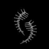 Thorn Spine Mechanical Alloy Skull Ear Cuff
