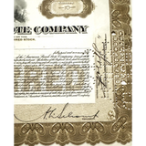 Rare American Bank Note Stock Certificate From the Roaring 20s